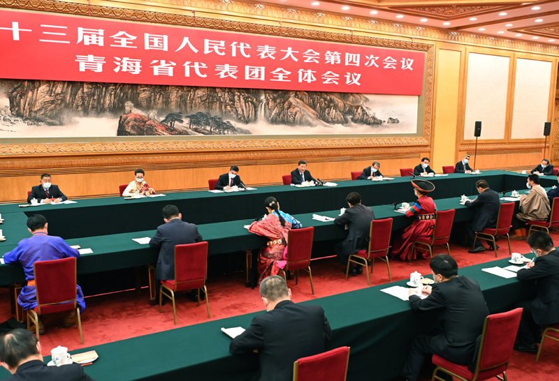 3月7日，中共中央總書(shū)記、國(guó)家主席、中央軍委主席習(xí)近平參加十三屆全國(guó)人大四次會(huì)議青海代表團(tuán)的審議。新華社記者 李濤 攝